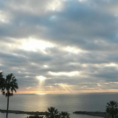 B&B Note Di Mare Imperia Dış mekan fotoğraf